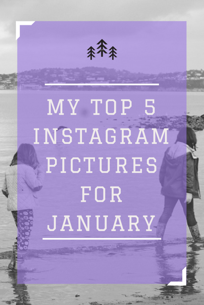 My top 5 Instagram pictures for january