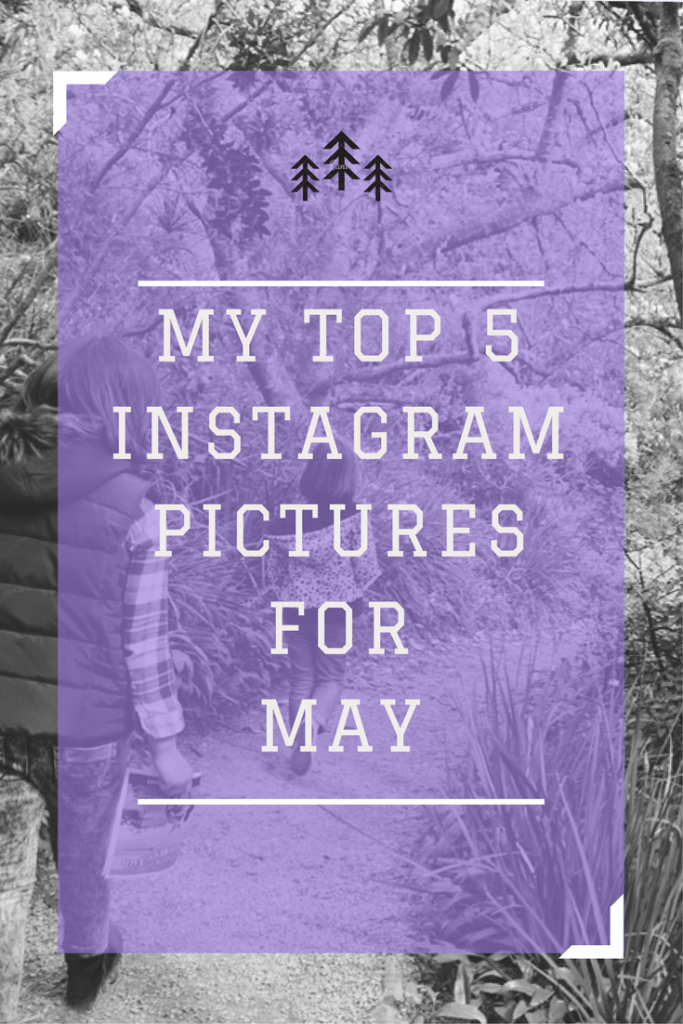 My top 5 Instagram pictures in May 